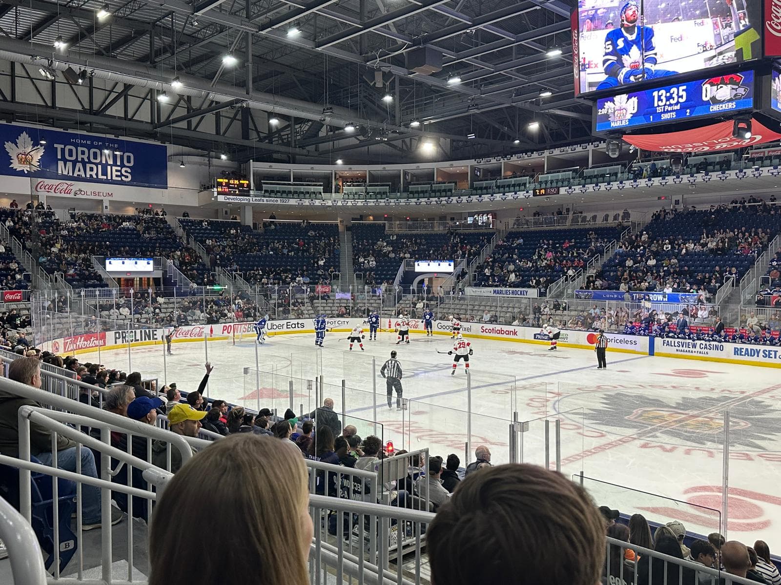 Community outing to a Toronto Marlies game