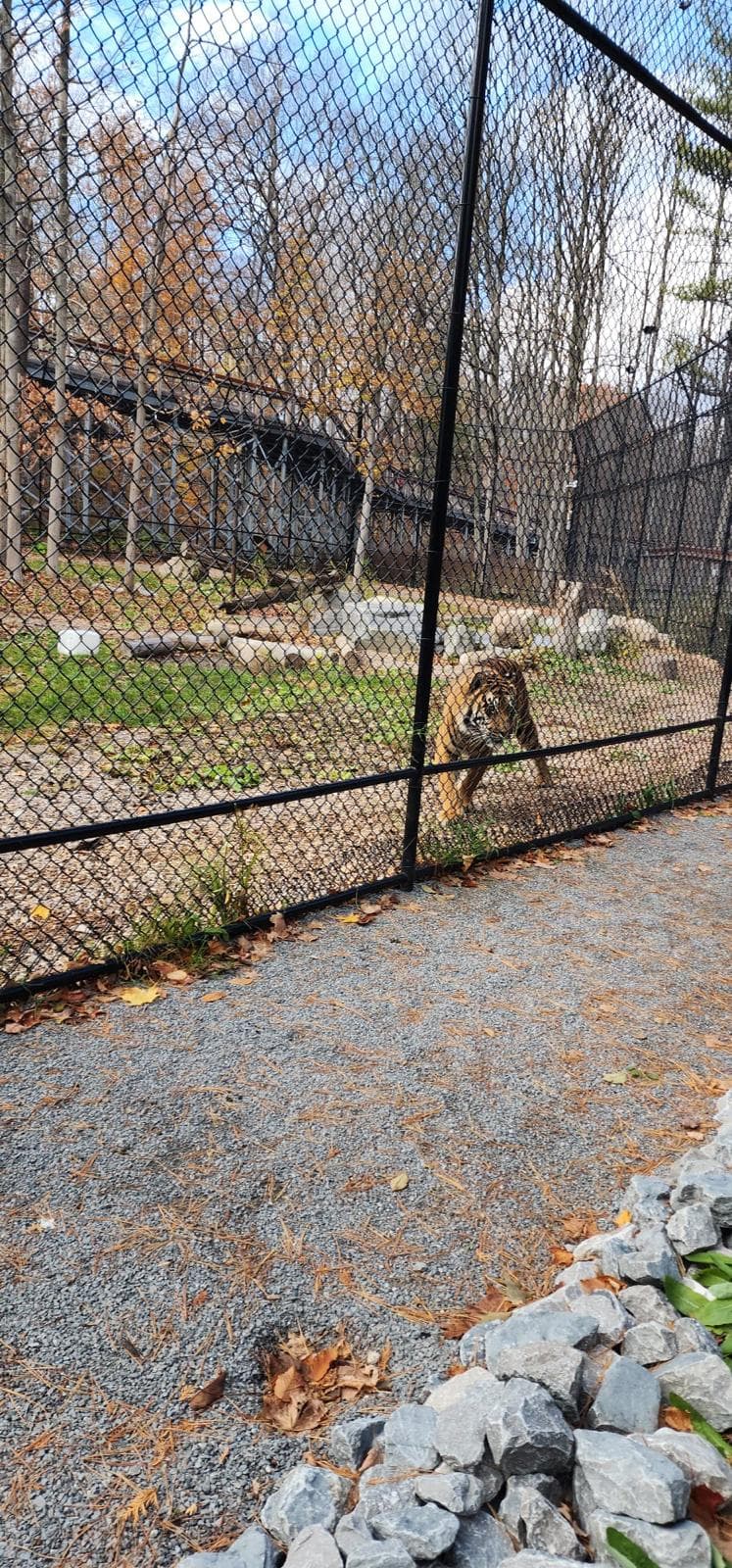 Zoo visit for community families